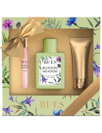 SET BLOSSOM MEADOW