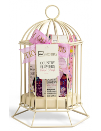 COFFRET BIRDCAGE